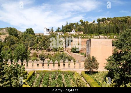 Vue du Palacio de Generalife depuis l'Alhambra de Grenade, Espagne. C'était le palais d'été des Émirs nasrides pendant le règne maure Banque D'Images