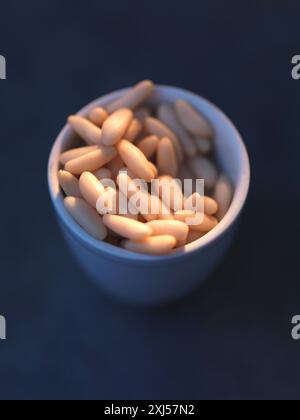 Noix de pin Banque D'Images