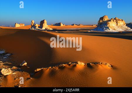 Egypte, désert Blanc, falaises de grès bizarres, moyen-Orient Banque D'Images