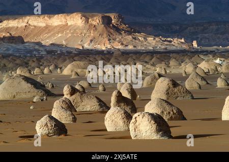 Egypte, désert Blanc, falaises de grès bizarres, moyen-Orient Banque D'Images