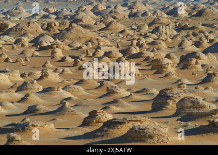 Egypte, désert Blanc, falaises de grès bizarres, moyen-Orient Banque D'Images