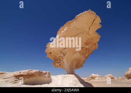 Egypte, désert Blanc, falaises de grès bizarres, moyen-Orient Banque D'Images