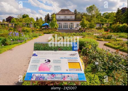 Jardin botanique, à côté du parc du palais de Nymphenburg, 2024 110e anniversaire, panneau d'affichage sur l'exploitation dans le commerce des roses, Munich, Bavière Banque D'Images