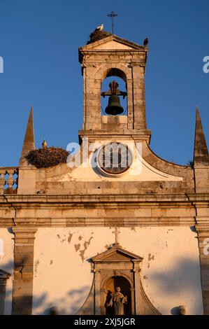 Nids de cigogne, nid, cigognes nichant sur l'arche de la ville, arche, Arco da Vila, vieille ville, Faro, Algarve, lumière du soir, Portugal Banque D'Images