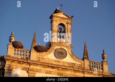 Nids de cigogne, nid, cigognes nichant sur l'arche de la ville, arche, Arco da Vila, vieille ville, Faro, Algarve, lumière du soir, Portugal Banque D'Images