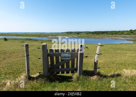 Svendborg, île Thuro, zone naturelle Thuro Rev, zone de loisirs, pâturages, zones humides, lacs, Unspoilt, Funen, Danemark Banque D'Images