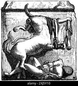 Métope relief avec scène de bataille mythique, du Parthénon. Acropole Athènes, taureau, homme, Grecs dans l'Antiquité, illustration historique vers 1890 Banque D'Images