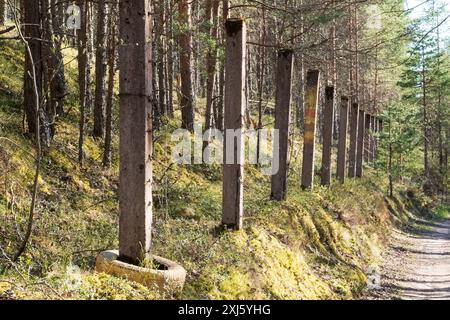 Des poteaux en béton marquent toujours le bord d'une zone militaire utilisée par l'ex-Union soviétique dans la forêt autour de la tourbière de Pääsküla et dans les environs Banque D'Images