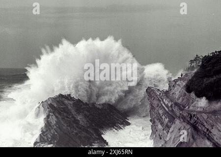 1983 Huge Wave au Shore acres State Park dans l'Oregon avec Man Standing for perspective Banque D'Images