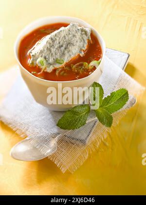 Soupe chaude aux tomates avec une ricotta et quenelle à la menthe Banque D'Images