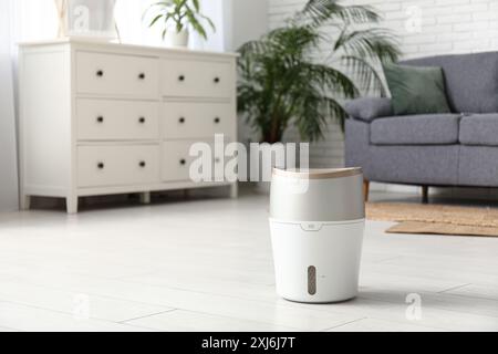 Canapé noir, commode et humidificateur moderne à l'étage dans le salon Banque D'Images