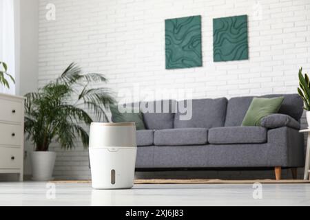 Canapé noir, commode et humidificateur moderne à l'étage dans le salon Banque D'Images