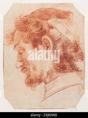 Tête d'homme barbu de profil vers la gauche Ubekendt italiensk , Castiglione, Giovanni Benedetto 1609 - 1664 dessin Skægget mandshoved i profil mod venstre Banque D'Images