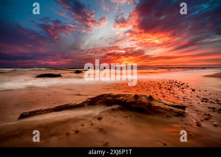 Gros plan d'un morceau de bois flotté sur une plage de la mer Baltique au coucher du soleil, Lituanie Banque D'Images