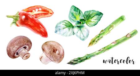 Illustration aquarelle de légumes et d'herbes, idéal pour les amateurs d'art ou de cuisine Banque D'Images