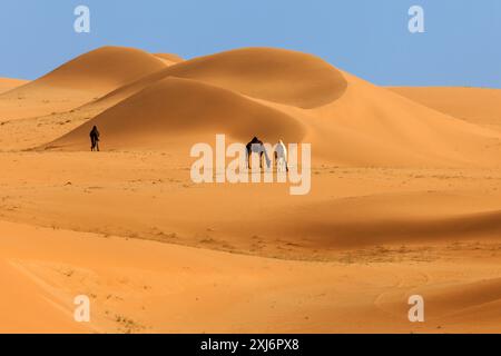 Trois chameaux debout parmi des dunes de sable géantes dans le désert, Arabie Saoudite Banque D'Images