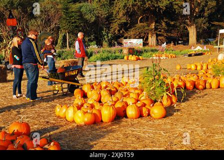 Une famille choisit ses citrouilles pour Halloween à Half Moon Bay, en Californie Banque D'Images