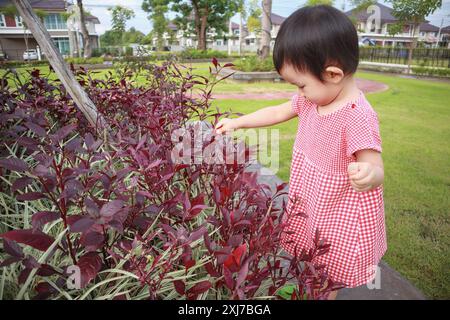 Jolie petite fille asiatique jouant et tenant la feuille de plante dans le parc en plein air Banque D'Images