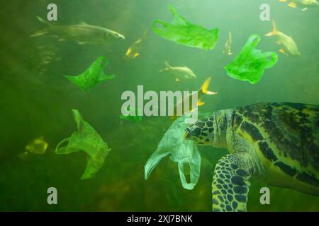 Sea Turtle mangent sac en plastique concept de pollution de l'océan Banque D'Images