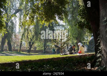 Santiago Chili - 24 juin 2012;éditorial-couple assis sous les arbres dans le parc de la ville Banque D'Images