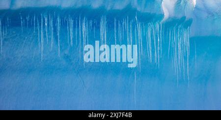 Alvaro Cove, Antarctique, lundi 20 novembre 2023. Photo : David Rowland / One-Image.com Banque D'Images