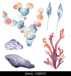 Algues, varech et pierres à l'aquarelle rose et bleue colorée. Plantes aquatiques illustration peinture dans un rouge rubis et bleu poussiéreux. Océan abstrait Banque D'Images