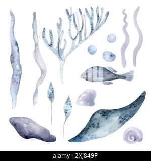 Plantes océaniques, corail et animaux marins en clipart de mer d'été à l'aquarelle. Algues bleues poussiéreuses monochromes, bulles et créatures océaniques dessinées à la main. Ray Banque D'Images