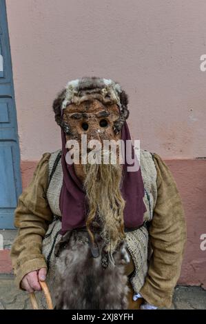 A Calantornia à l'Entroido de Pombriego, León, est une figure frappante profondément enracinée dans la tradition locale. Vêtue de masques complexes, la Calantornia incarne l’esprit festif et le patrimoine culturel de la région. Issu de célébrations anciennes, ce personnage symbolise le triomphe de la joie et de la vitalité sur la tristesse de l’hiver. L’Entroido de Pombriego est un événement animé qui rassemble la communauté, célébrant sa riche histoire et ses traditions durables. Banque D'Images