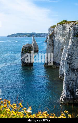 White Cliffs of Old Harry Rocks Jurassic Coast d'un drone, Dorset Coast, Poole, Angleterre Banque D'Images