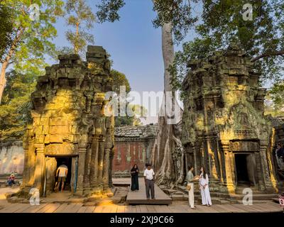 Temple Ta Prohm, un monastère bouddhiste Mahayana construit à la fin du 12ème siècle pour le roi khmer Jayavarman VII, Angkor, site du patrimoine mondial de l'UNESCO, Cambo Banque D'Images