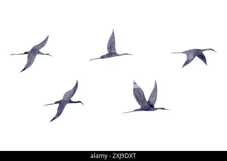 Ensemble d'illustration d'aquarelle de silhouettes d'oiseaux de grue migrantes. Troupeau de flamants roses volants. Clipart monochrome abstrait Banque D'Images