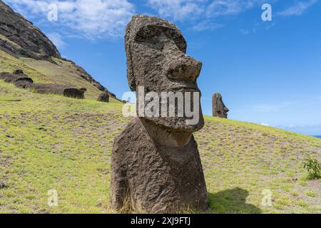 Moai se dirige sur la pente de Rano Raraku sur l'île de Pâques (Rapa Nui), Chili. Raraku est communément connu sous le nom de « Moai Factory ». Banque D'Images