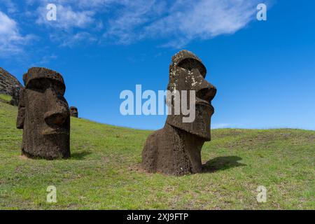 Moai se dirige sur la pente de Rano Raraku sur l'île de Pâques (Rapa Nui), Chili. Raraku est communément connu sous le nom de « Moai Factory ». Banque D'Images