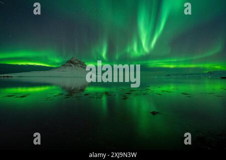 Aurora borealis aurores boréales au-dessus de Kirkjufell Mountain Wizard s Hat reflété dans l'océan, Islande, régions polaires Copyright : RobertxCanis 1200-687 Banque D'Images