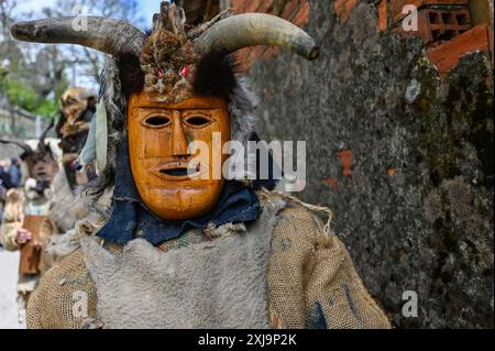 Dans la célébration Toros y Guirrios de Velilla de la Reina, León, Espagne, un père et sa fille portent fièrement la tenue saisissante de Zamarrón. Leurs masques élaborés, leurs couleurs vives et leurs rubans fluides soulignent l'esprit festif et le profond patrimoine culturel de la région. Cette belle scène illustre l’importance de transmettre les traditions aux générations futures, faisant de la célébration un spectacle captivant. Banque D'Images