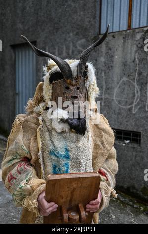 Dans la célébration Toros y Guirrios de Velilla de la Reina, León, Espagne, un père et sa fille portent fièrement la tenue saisissante de Zamarrón. Leurs masques élaborés, leurs couleurs vives et leurs rubans fluides soulignent l'esprit festif et le profond patrimoine culturel de la région. Cette belle scène illustre l’importance de transmettre les traditions aux générations futures, faisant de la célébration un spectacle captivant. Banque D'Images