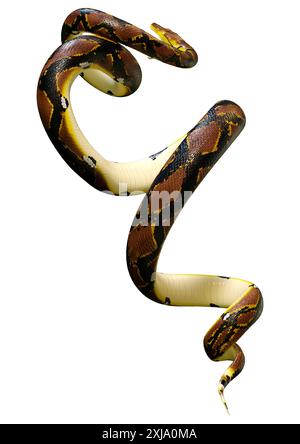 Rendu 3D d'un python réticulé ou Python reticulatus, une espèce de python trouvée en Asie du Sud-est Banque D'Images