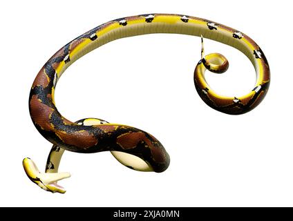 Rendu 3D d'un python réticulé ou Python reticulatus, une espèce de python trouvée en Asie du Sud-est Banque D'Images