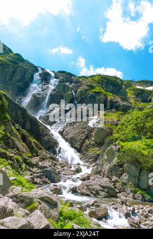 Siklawa Falls. La plus haute cascade des montagnes des Tatra, Pologne. Beau paysage d'été. Arrière-plan naturel. Banque D'Images