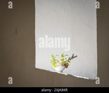 Arrangement floral sur un rebord de fenêtre d'église. Arrangement floral avec des fraises et des fleurs d'été. Intérieur. Banque D'Images