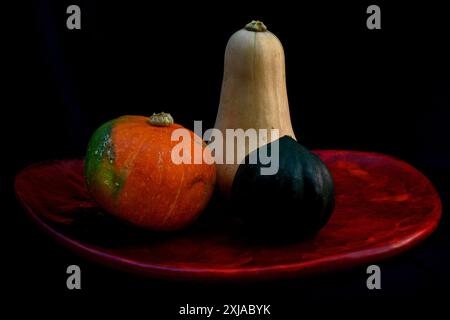 Nature morte avec trois variétés de courge d'hiver Acorn Squash [à droite] Kabocha ou de courge japonaise [à gauche] et butternut au centre Banque D'Images