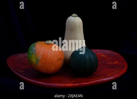 Nature morte avec trois variétés de courge d'hiver Acorn Squash [à droite] Kabocha ou de courge japonaise [à gauche] et butternut au centre Banque D'Images