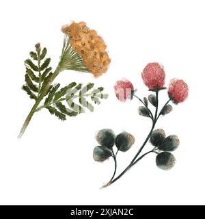 Aquarelle stylisée représentant des fleurs sauvages jaune et trèfle rose pour la décoration et le design. Banque D'Images