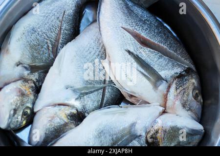 Poissons crus nettoyés préparés pour la cuisson. Banque D'Images