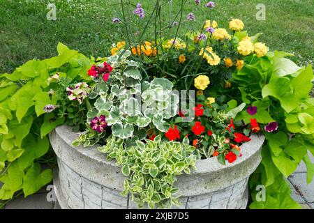 Un planteur en pierre vibrant rempli d'une variété de fleurs colorées et de feuillage vert luxuriant placé sur un patio Banque D'Images