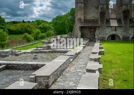 Ruines du monastère du XVe siècle à Pirita, Tallinn, Estonie. Couvent catholique appartenant à l'ordre de préparation Brigitta. Passage à l'église principale. Banque D'Images