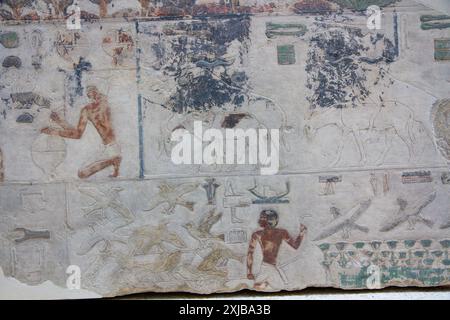 Relief des fragments de paroi des antilopes et des oiseaux. Originaire du Temple du Soleil de Nyuserre INI. Musée égyptien. Berlin, Allemagne. Banque D'Images