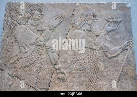 Relief mural assyrien du roi Ashurnasirpal II et d'un génie ailé ou génie (883-859 av. J.-C.). Musée de Pergame, Berlin, Allemagne Banque D'Images