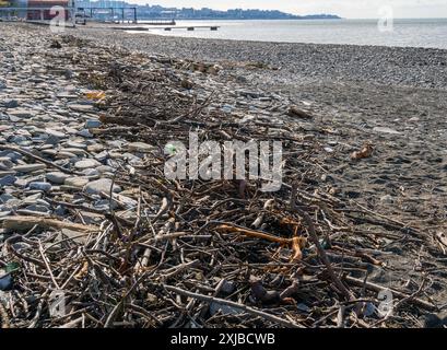 Ordures sur la bande côtière de la plage après une tempête, Khostinsky district de Sotchi Banque D'Images