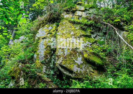 Imposante formation rocheuse couverte de mousse entourée d'une végétation sauvage dans la montagne de Warche Valley, feuillage d'arbres à feuilles vertes en arrière-plan, summ nuageux Banque D'Images